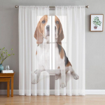 Multifilm Lemmikloom Corgi Koer Armas l&auml;bipaistev kardin elutuppa Magamistoa Voile Drape K&ouml;&ouml;k Aken T&uuml;llkardinad Kodu Essentials 1 PCS W100XH250cm