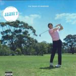 LP plaat JAMIE T - The Theory Of Whatever 602445437214 Polydor 2022 Euroopa Rock