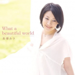 CD AKI MISATO - What a beautiful world LACM4714 Lantis 2010 Jaapan Jaapani Pop/Rock Kasutatud