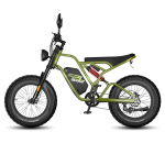 Elektriratas T&auml;iskasvanutele FAFREES 20 750W Mootor T&auml;ielik Amortisaatoriga Ebike 48V 25AH Maksimaalne S&otilde;iduulatus 140 km Kandev&otilde;ime 130 kg F20 Ultra Hydraulic Brakes roheline