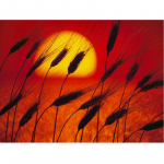 Rhinestones 5D teemant k&auml;sit&ouml;&ouml;maaling DIY teemanttikandi komplektid Kaunis p&auml;ikeseloojangu maaliline teemant 20X30CM