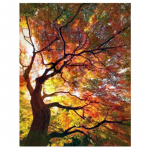 Teemanttikandid maali t&auml;ispuur Teemantmosaiik ristpistes puu maastik 20X30CM