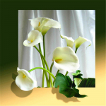 Uus saabunud teemantmaali roosi t&auml;isring puur Teemanttikandid Lillede ristpistes kodukaunistuste k&auml;sit&ouml;&ouml;komplekt 20x20CM