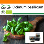 SAFLAX - Aed kotis - Orgaaniline - Genovese basiilik - 800 seemet - Substraadiga sobivas p&uuml;stijas kotis - Ocimum basilicum