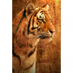 Uus 5D teemantmaali isetehtud loom hunt tiiger teemant mosaiik kassi ja koera ristpistes seinakaunistus k&auml;sitsi valmistatud kingitus 30x40cm
