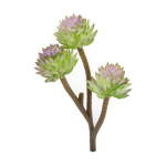 Simulatsioon lillepea, kastmata, isetegemine, kaunis dekoratiivne potitaimede tarvik aeda lilla