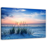 L&otilde;uendiprint Beach grass luited meri 60x40 sinine