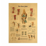 Keha struktuur Skelett N&auml;rvis&uuml;steem Vintage plakat Meditsiiniline kaunistus Maalimine Seinakunst Maalimine L&otilde;uend Seinakleebised 21X30cm No Frame