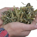 250g Motherwort / Leonurus cardiaca Dried Loose Leaves Yi Mu Cao