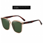 Uued p&auml;ikeseprillid Tr Prillid Gm P&auml;ikeseprillid 1.C1