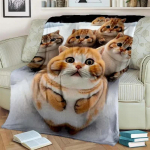 Soe ja hubane armas kassi mustriga flanelltekk diivanile, voodile, diivanile, kontorisse - pehme ja rahustav digitaaltr&uuml;kiga visketekk 30x40in