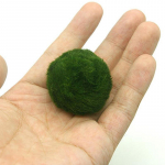 3&ndash;4 cm Marimo samblapallid Live Akvaariumi taim Vetikad Kala Krevetitaim Ornament Simulatsioon Rohevetikapallid Kunstlik taim onesize