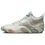 Air Jordan Tatum 3 Pf 'Zero Days Off' FZ6601-002 44