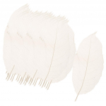 100x Naturaalne Magnoolia Skelett Leht Lehed Kaart Scrapbooking DIY K&auml;sit&ouml;&ouml; Valge China Mainland