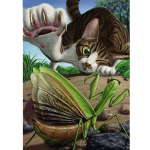 T&auml;ispuur Teemantmaaling Kassi mantis Putukate Ristpistes K&auml;sit&ouml;&ouml; Teemanttikandid Kodukaunistus 20X30CM