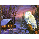 DIY teemantmaal Talvine maastik Teemantmosaiik pilt kividest kodukaunistus 20X30CM