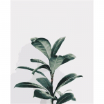 Uus DIY 5D teemanttikandid maastik Ristpistes taimelehed Teemantmaaling P&auml;ikeseloojangu t&auml;isring puur Kodukaunistuse kingitus Full Round 15x20CM