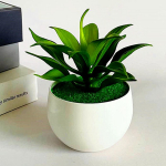 PVC kunstlikud sukulendid Peod Plastikust Restoranid Poed