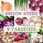 Sibulaseemnete komplekt / 9 populaarset sorti / Orgaaniline / GMO-ta