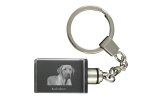 Black and Tan Coonhound - Crystal key ring with dog photo, illuminated key ring, unique gift by Art-Dog brand
