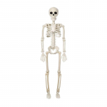 Skelett Halloweeni kaunistused 40 cm V&otilde;imalikud naljakad elutruud plastikust skeletid kummitusmaja surnuaia stseeni peorekvisiidile