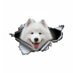 Aukudesse peidetud armsa samojeedi autokleebised, veekindlad ebakorrap&auml;rase kujuga autokaunistuskleebised 15cm-Longest Side