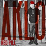 CD AKLO RED PILL OYWM12003 Jaapan Jaapani Klubi Tants Kasutatud