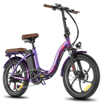 Fafrees F20+ Pro Folding Electric Bike, 250W Motor, 36V 22.5Ah Battery, 20*3.0 inch Tires