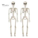 T&auml;ism&otilde;&otilde;dus inimluustik Halloweeni kaunistuseks, 3 jalga pikk t&auml;iskere luustik, Realistlik liigutatavate liigestega peokaunistus Aeda, Verandale, 2pcs
