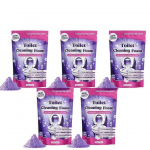 (5 tk)1-5x Fizzclean WC-vahtpuhasti, V&otilde;imas Insta-Action Fizzclean Puhastus