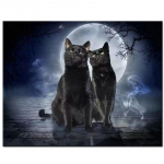 Halloween Black Cats Moon Night Teemantmaal Full Drill Teemanttikandid 20X30CM