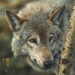 Rhinestone maal Kristall Kodukaunistus Teemantmaal Hundi ristpiste muster Teemanttikandid 30x30CM