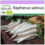 SAFLAX &ndash; Orgaaniline &ndash; Redis &ndash; Mooli Minowase &ndash; 100 seemet &ndash; Raphanus sativus