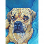 5D teemantmaaling Koerte ristpistes loomtikandid Terve &uuml;mmargune multikas Pilt kividest mosaiikkaunistus Avaleht Full Round 20x30CM