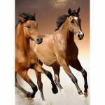 DIY Horse 5D Teemantmaal T&auml;isring puur Loom Teemanttikandid Ristpistes Mosaiik Komplektid Vaigust seina kunst Kodukaunistus Full Round 60x90CM