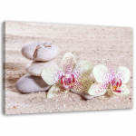 L&otilde;uenditr&uuml;kk Orchids Zen Spa Stones 60x40 roosa