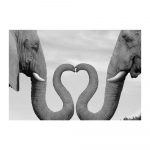 Armastus S&uuml;da Elevandid L&otilde;uendimaal Moodne mustvalge Aafrika loomade seinamaaling Plakat Prindi Kontor Magamistuba Elutuba Kodukaunistus Cuadros 20x30cm No Frame valge