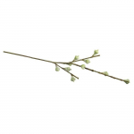 Branche de fruits d'eucalyptus 40cm roheline
