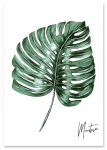 Plakat monstera podpis 21x29,7 cm A4