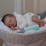 Realistlikud vasts&uuml;ndinud beebinukud M&auml;nguasi 17 tolli Armas simulatsioon Taass&uuml;nninukud Darren Pehme riidest keha N&auml;htavad veenid Bebe Reborn V&auml;ikelapsenukk lastele Full Silicone Girl