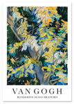 Plakat Van Gogh Blossoming 30x40 cm