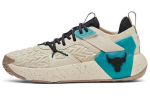 Under Armour Project Rock 6 Pruun Sinakasroheline 3026534-200 40