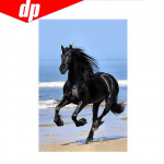 Teemanttikandid Loomad Must hobune 5D DIY Ristpistes Pilt T&auml;is&uuml;mmargune teemant 20X30