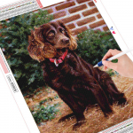 Teemanttikandid Loomade 5D Teemantmaali Koer Teemantmosaiik T&auml;is&uuml;mmargune kivikivi 20X30