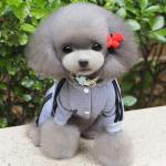 XS-XXL Lemmiklooma koera riided Soe koera kombinesoon kassi kutsika pidžaama riided Paks lemmiklooma kapuutsiga mantel koertele XXL