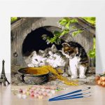 Digitaalne &otilde;limaal L&otilde;uend Numbrite Maalimine Kodukaunistus DIY Maalimine Numbrite j&auml;rgi &Otilde;limaal 40x50cm no frame