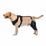 Koerte p&otilde;lvetugi selja jala jaoks, koera puusa p&otilde;lve jala tugi, koera eesmise ristatisideme tugi puusaliigese d&uuml;splaasia korral, koera artriit, koera p&otilde;lvekedra nihestused M