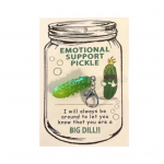 Youshengi 1/2/3 komplektid emotsionaalset tuge Pickle v&otilde;tmehoidja Pickle disain ripats taskukallistustega Kaart Peen meisterdatud metallist vaigust v&otilde;tmehoidja Positiivne kingitus 1 Set