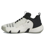 Adidas Trae Unlimited Cloud White Carbon Meeste tossud Metal-Grey IF5609 41⅓
