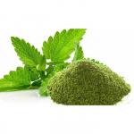 RSINC 100% puhas mahe PUDINA pulber / M&uuml;ndi / Mentha Arvensis toiduks - 100g JL184609806188